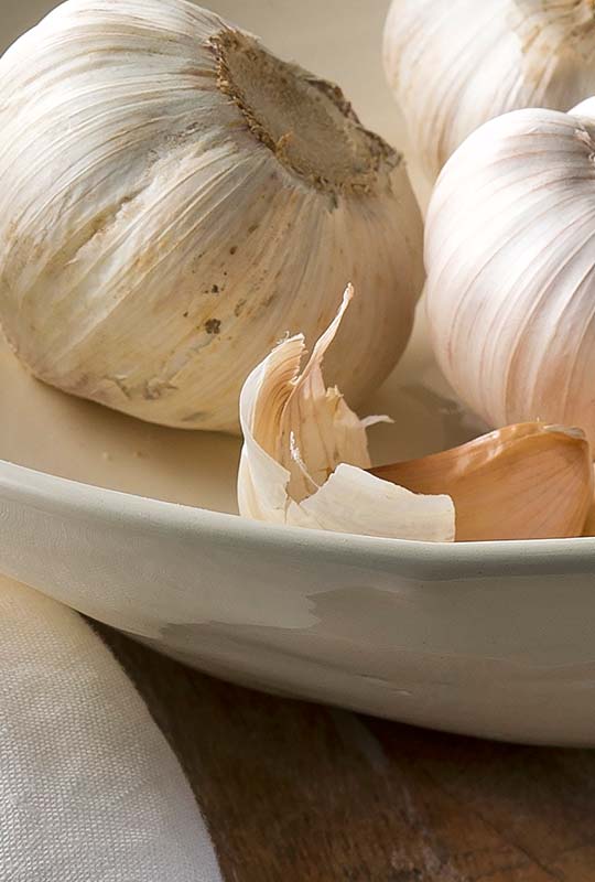 Home Decor Store Tribeca Baboo NY