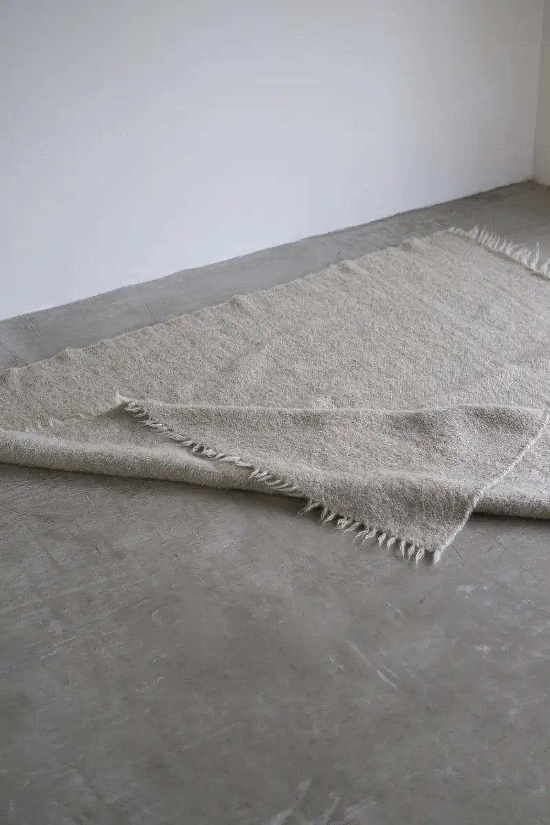 Lizhnyk Rug Grey