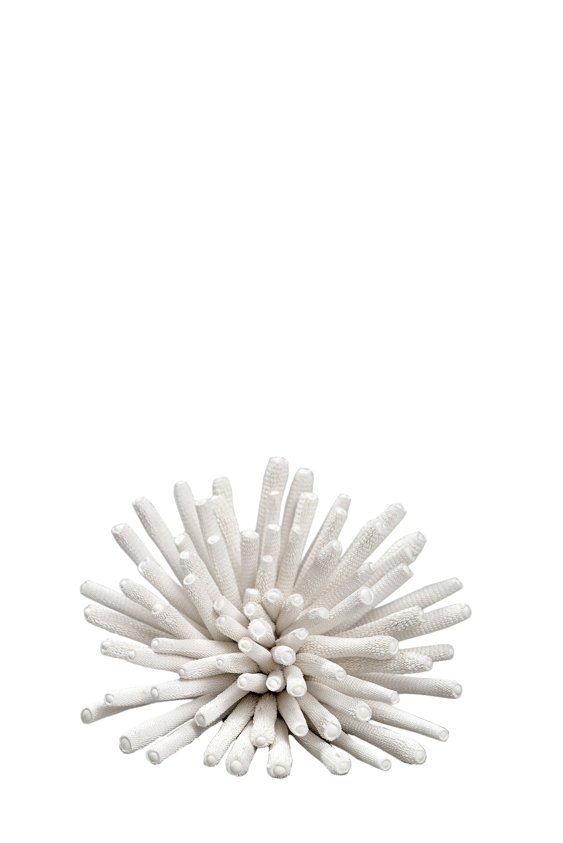 Sculpture by Tzuri Gueta - Corail