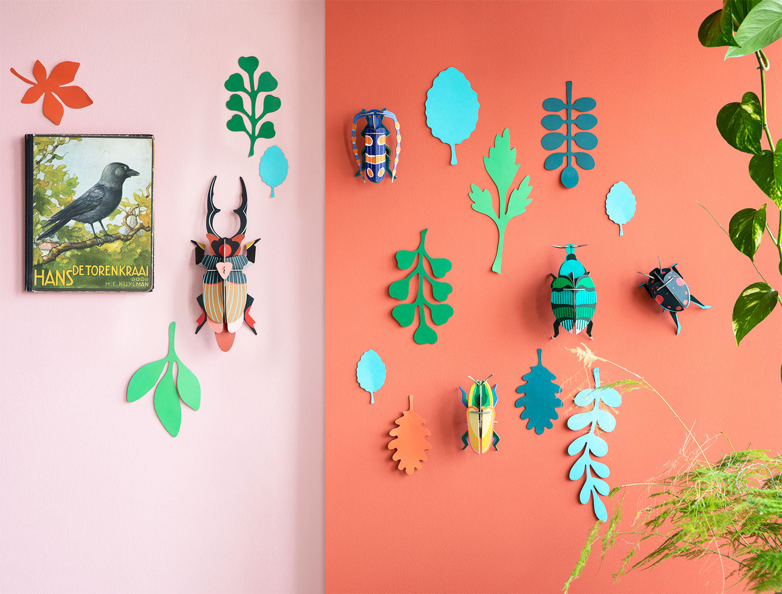 Wall of Curiosities - beetle antiquary