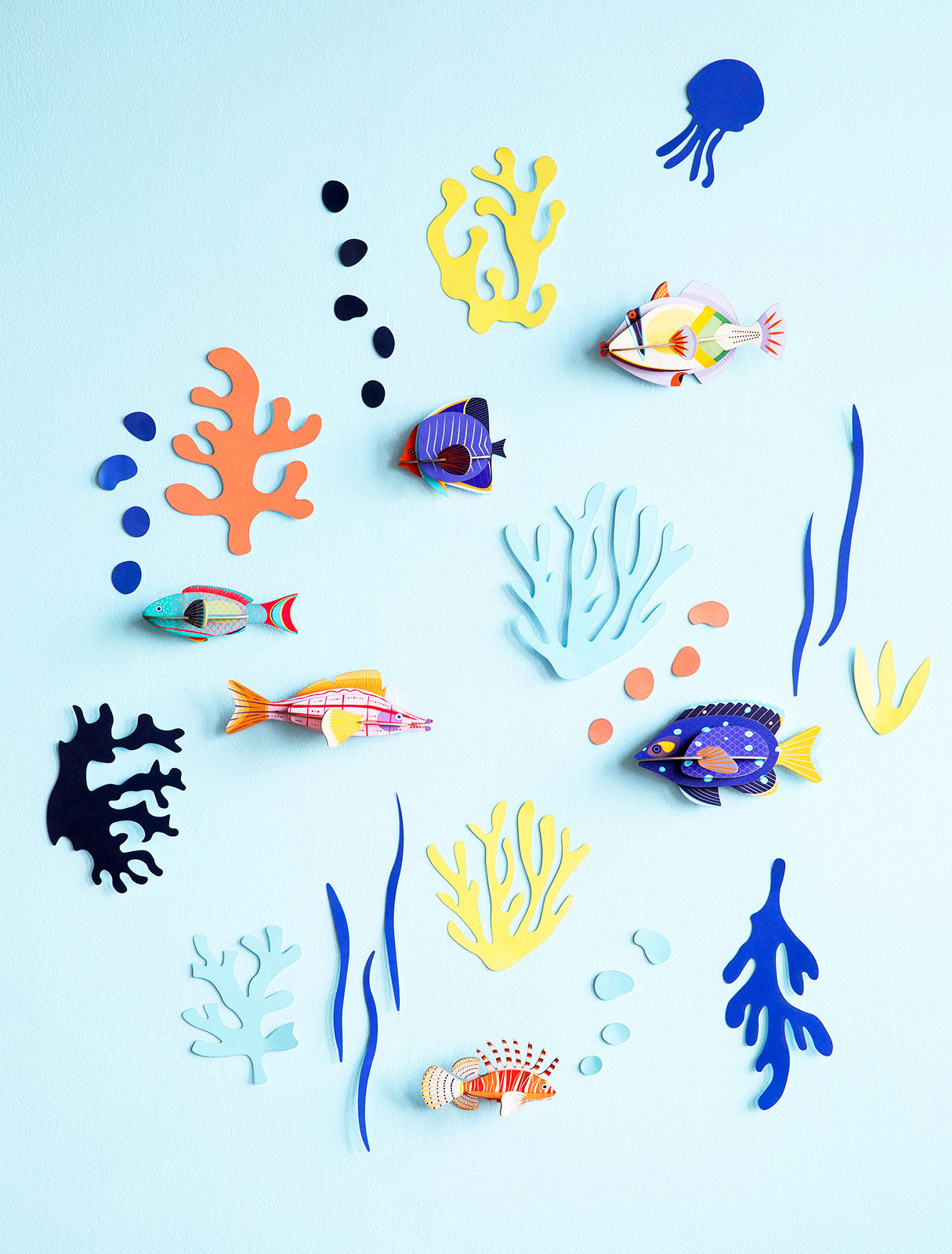 Wall of Curiosities - fish hobbyist