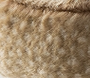 Bambi Faux Fur