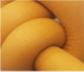 Neo Ochre