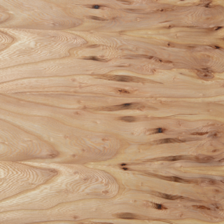 Rustic Elm