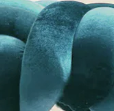 Teal Velvet